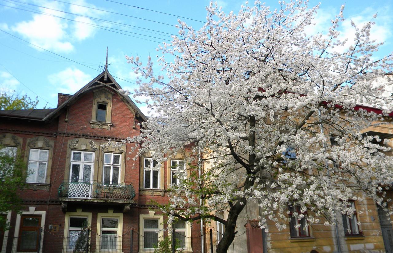 Studios At Anchevskih 3 Liov Exterior foto