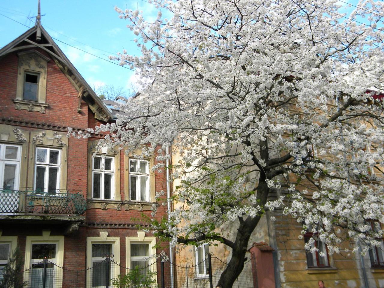 Studios At Anchevskih 3 Liov Exterior foto
